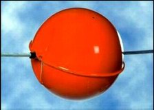 Tana Ball